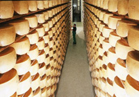 Сыр типа пармезан - грана